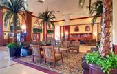 Туры в отель Marco Polo Beach Resort