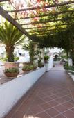 Туры в отель Hotel Terme Colella