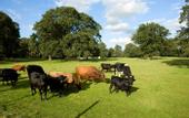 Туры в отель Rothley Court Hotel