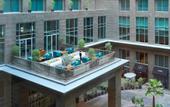 Туры в отель The Ritz-Carlton Dubai International Financial Centre