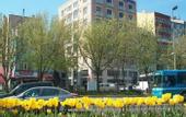 Туры в отель Star City Hotel