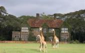 Туры в отель Giraffe Manor