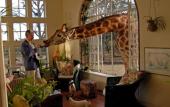 Туры в отель Giraffe Manor