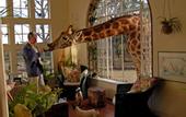 Туры в отель Giraffe Manor