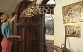 Туры в отель Giraffe Manor