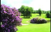 Туры в отель Barcelo Shrigley Hall Hotel Golf & Country Club