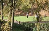 Туры в отель Barcelo Shrigley Hall Hotel Golf & Country Club