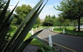 Туры в отель Holiday Inn Washington