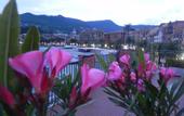 Туры в отель Helios (Santa Margherita Ligure)