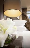 Туры в отель Quay West Suites Melbourne