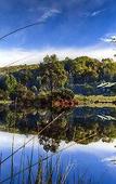 Туры в отель Cradle Mountain Lodge