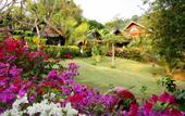 Туры в отель Boomerang Village Resort