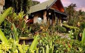 Туры в отель Boomerang Village Resort