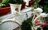 Туры в отель Gala Hotel Buyukada