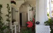 Туры в отель Gala Hotel Buyukada
