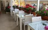 Туры в отель Gala Hotel Buyukada