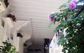 Туры в отель Gala Hotel Buyukada