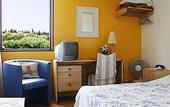 Туры в отель Residence de France