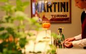 Туры в отель Hotel Giulia (Lido di Camaiore)