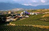 Туры в отель Marques de Riscal