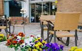 Туры в отель Hotel Castilla Alicante