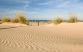 Туры в отель Eden del Mar