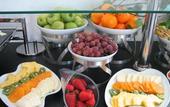 Туры в отель Holiday Inn Elche