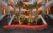 Туры в отель Holiday Inn Elche