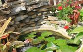 Туры в отель Bordo Guest House