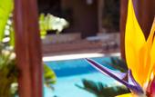 Туры в отель Swiss Moraira