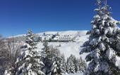 Туры в отель Agaoglu My Mountain