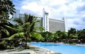 Туры в отель Hotel Borobudur Jakarta