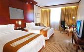 Туры в отель Hotel Borobudur Jakarta