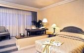 Туры в отель Hotel Borobudur Jakarta