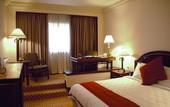 Туры в отель Hotel Borobudur Jakarta