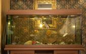 Туры в отель Aquarium Hotel Istanbul
