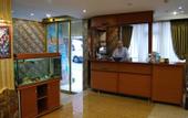 Туры в отель Aquarium Hotel Istanbul