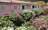 Туры в отель CalanovellaMare