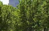 Туры в отель Boston Marriott Copley Place