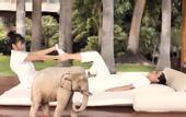 Туры в отель Botanico