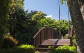 Туры в отель Botanico