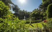 Туры в отель Botanico