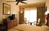 Туры в отель Riu Vallarta