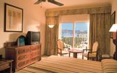 Туры в отель Riu Vallarta
