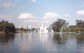 Туры в отель Bourbon Convention Ibirapuera