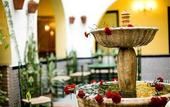 Туры в отель OH Villa Flamenca Hotel