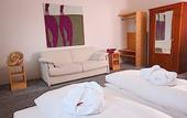 Туры в отель Boutique Hotel Steiner 1493 (Steinerwirt1493)