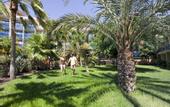 Туры в отель Mur Hotel Faro Jandia & Spa