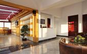 Туры в отель Vidikovac Apartments