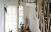 Туры в отель Villa Flora